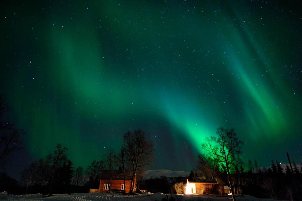 100 Years Old Norwegian Log House In Tromso Villa Exterior photo