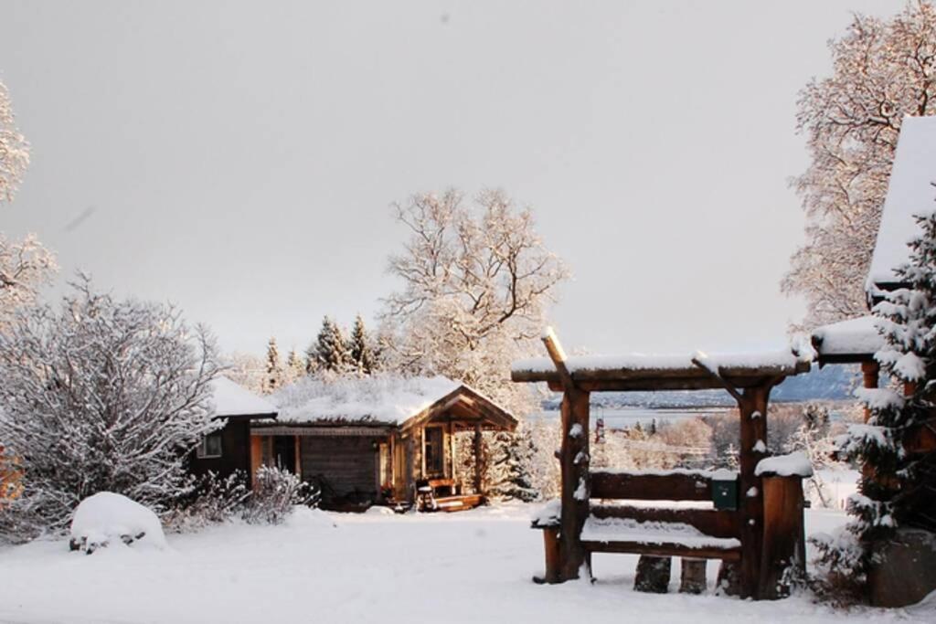 100 Years Old Norwegian Log House In Tromso Villa Exterior photo