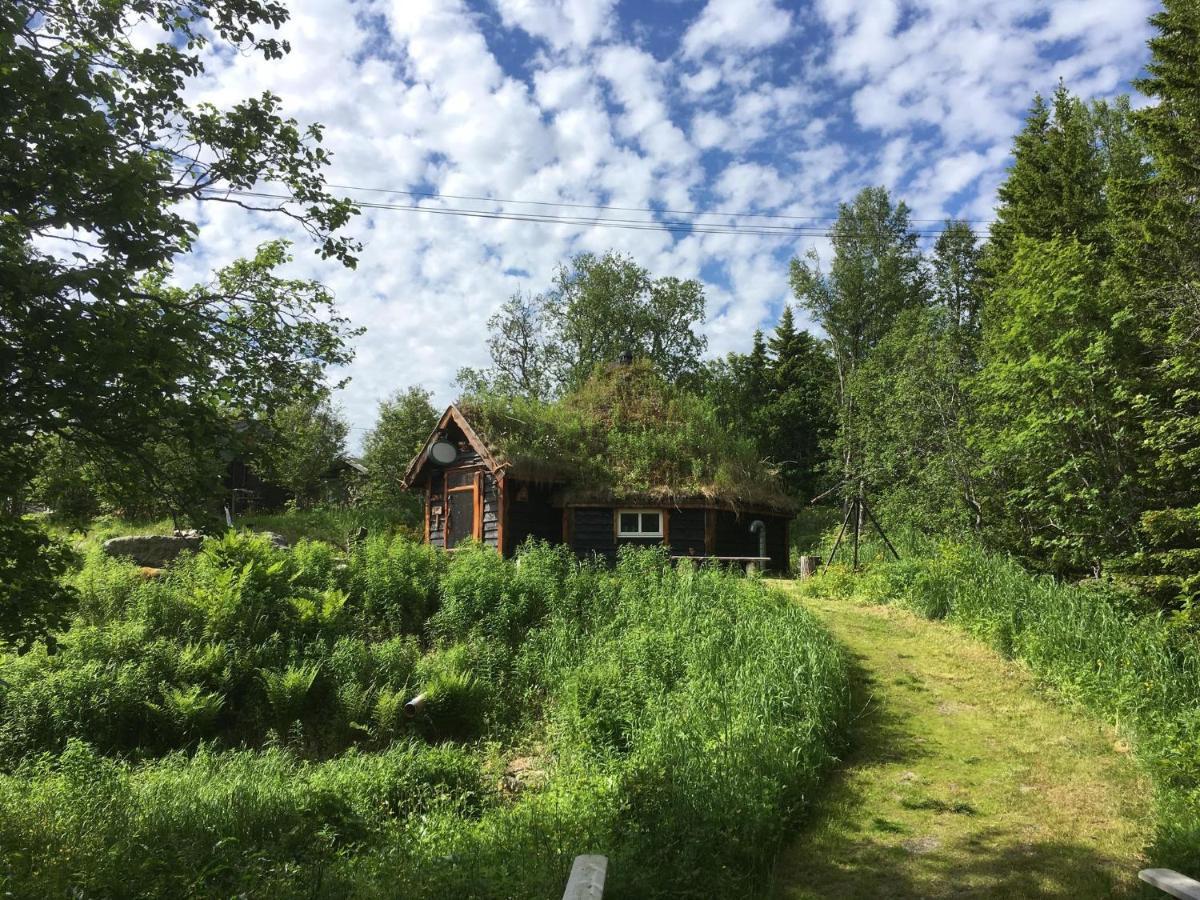 100 Years Old Norwegian Log House In Tromso Villa Exterior photo