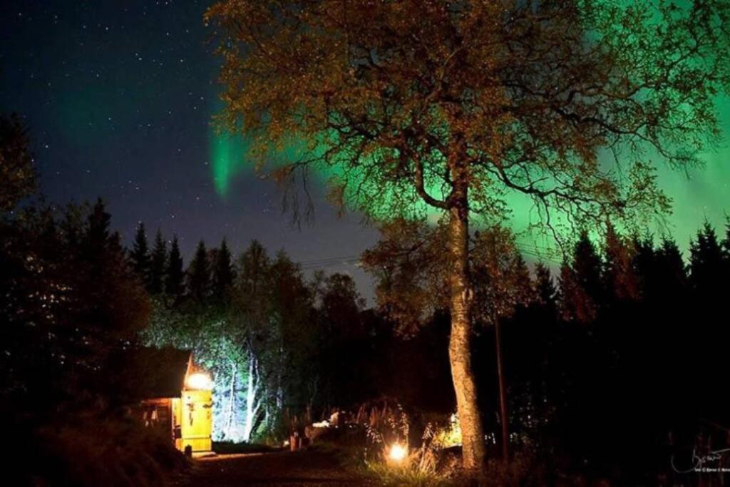 100 Years Old Norwegian Log House In Tromso Villa Exterior photo